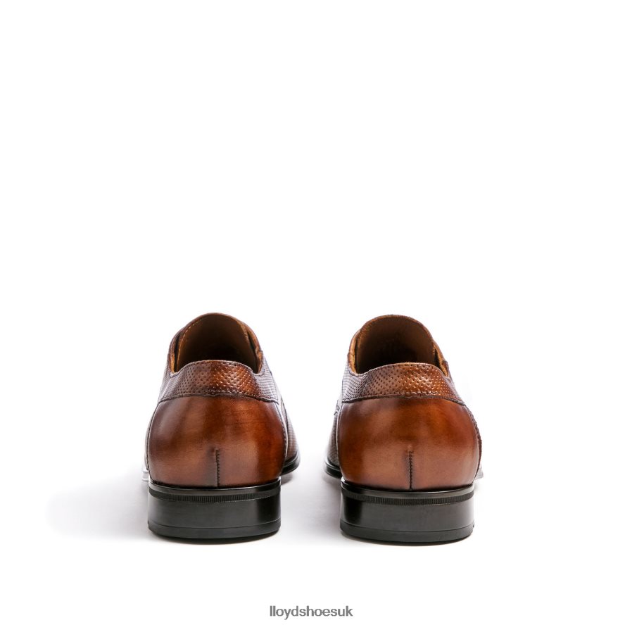 LLOYD Men LEVIN H4BXXT87 Shoes brown