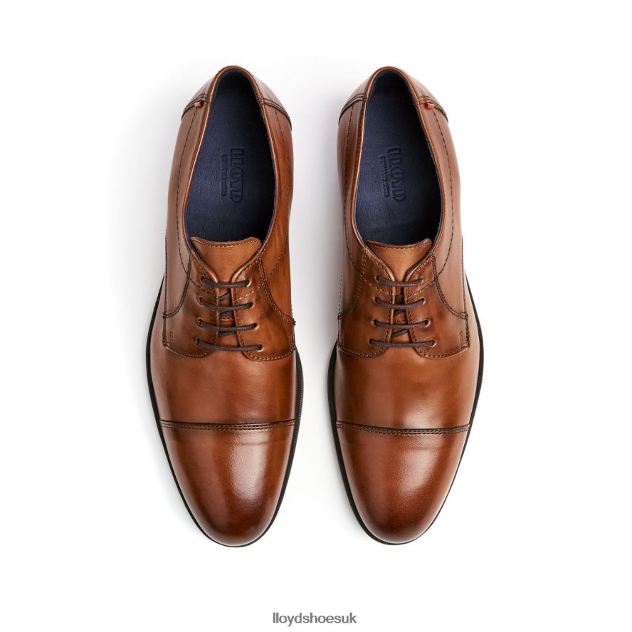 LLOYD Men LIAS H4BXXT24 Shoes brown