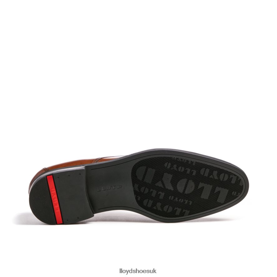 LLOYD Men LIAS H4BXXT24 Shoes brown
