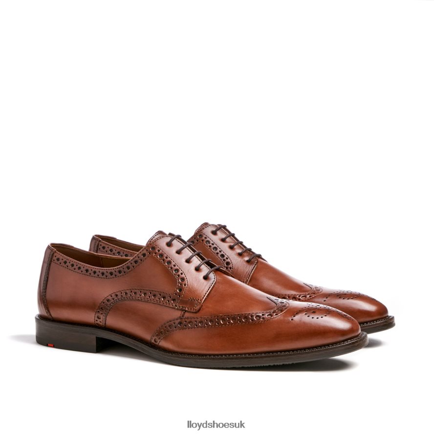 LLOYD Men LUCIEN H4BXXT574 Shoes brown