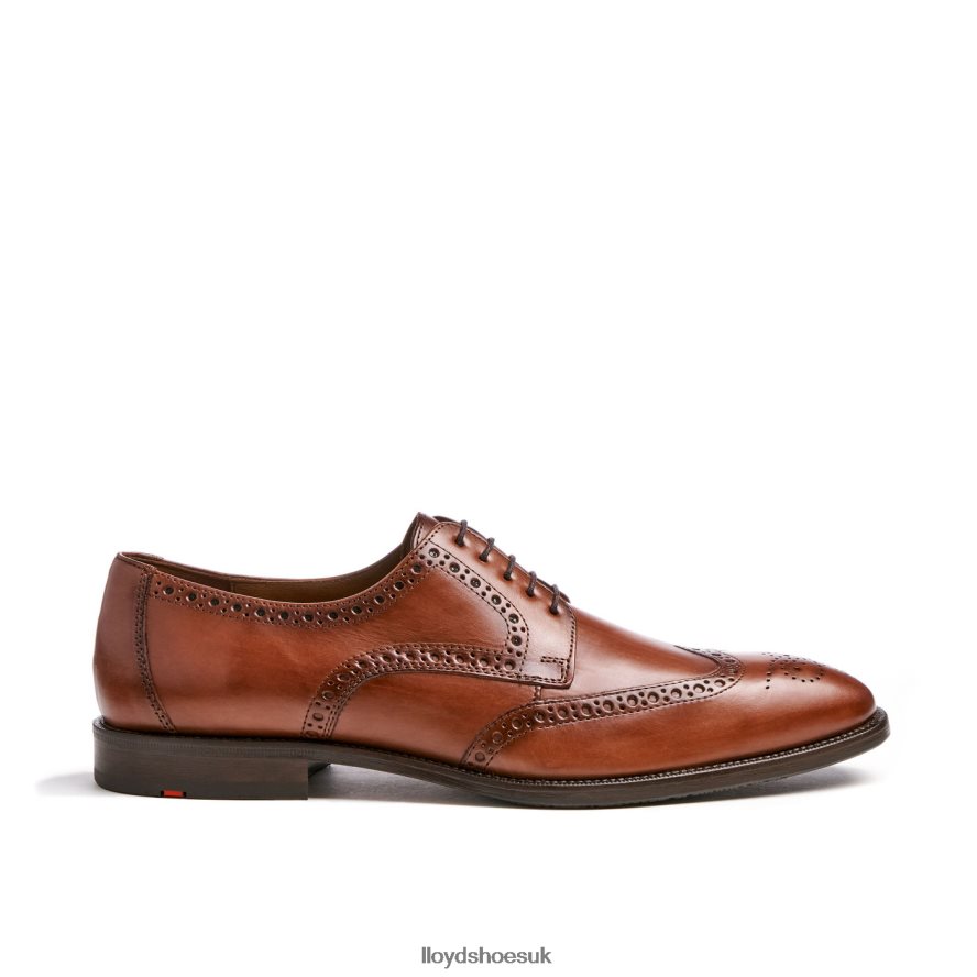 LLOYD Men LUCIEN H4BXXT574 Shoes brown