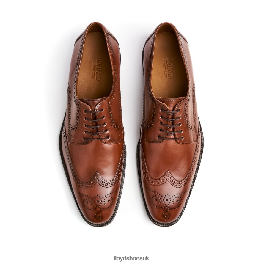 LLOYD Men LUCIEN H4BXXT574 Shoes brown