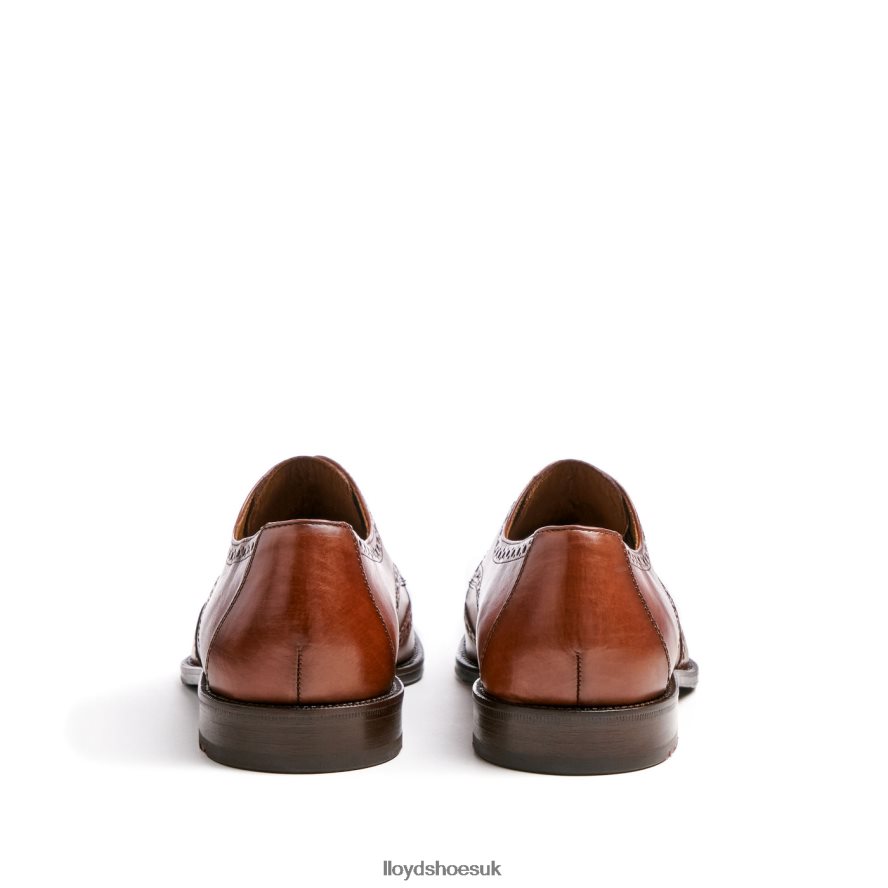 LLOYD Men LUCIEN H4BXXT574 Shoes brown
