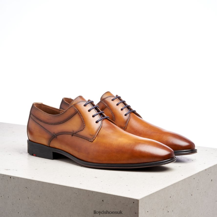 LLOYD Men MADISON H4BXXT192 Shoes brown
