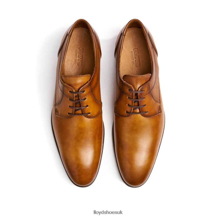 LLOYD Men MANON H4BXXT118 Shoes brown