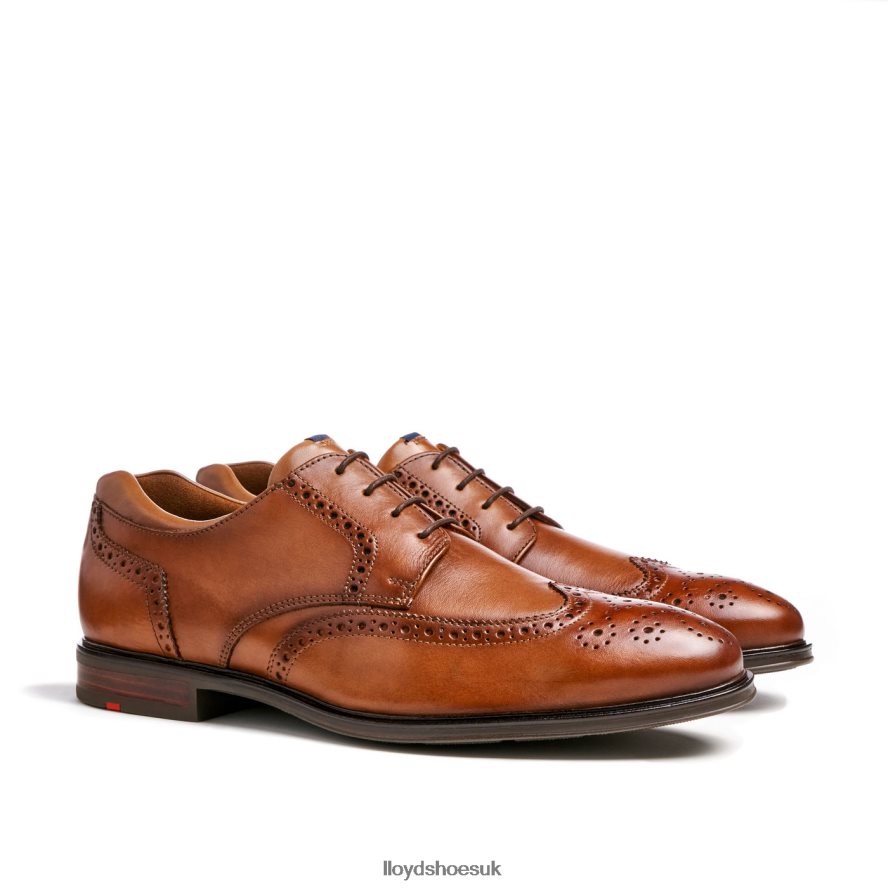 LLOYD Men MARIAN H4BXXT141 Shoes brown