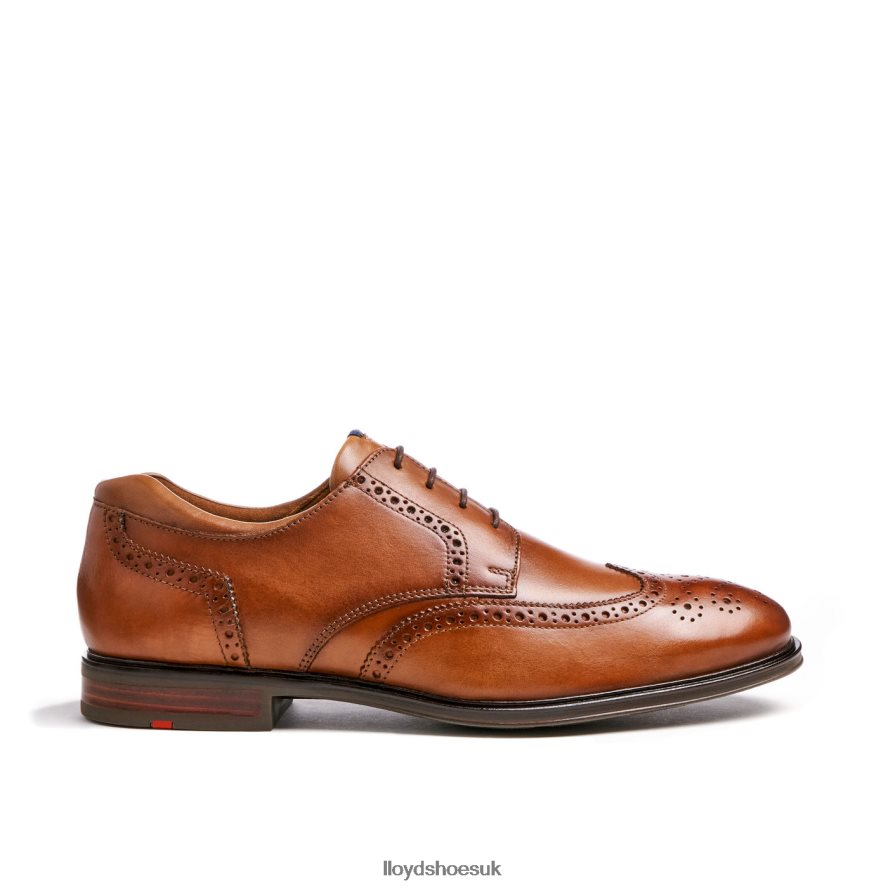 LLOYD Men MARIAN H4BXXT141 Shoes brown