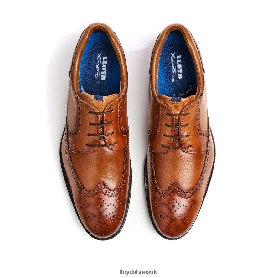 LLOYD Men MARIAN H4BXXT141 Shoes brown