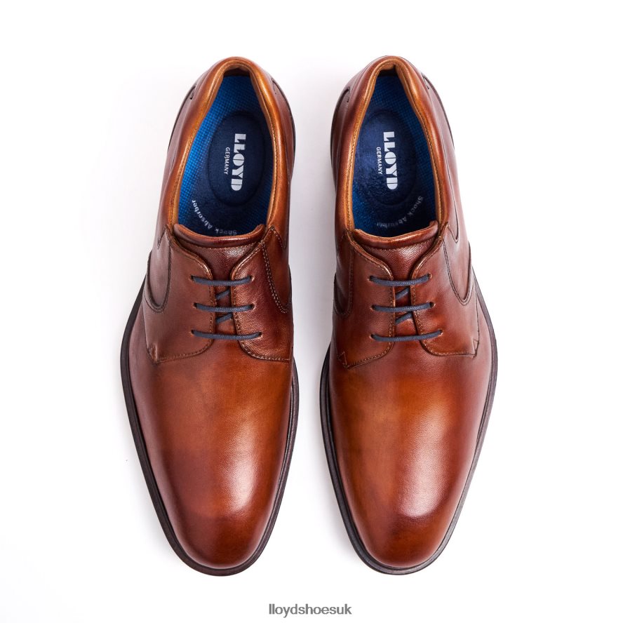 LLOYD Men MONTY H4BXXT134 Shoes brown