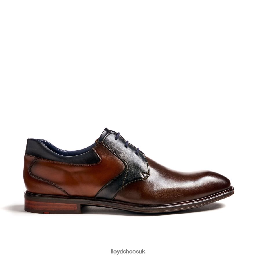 LLOYD Men MONTY H4BXXT227 Shoes brown