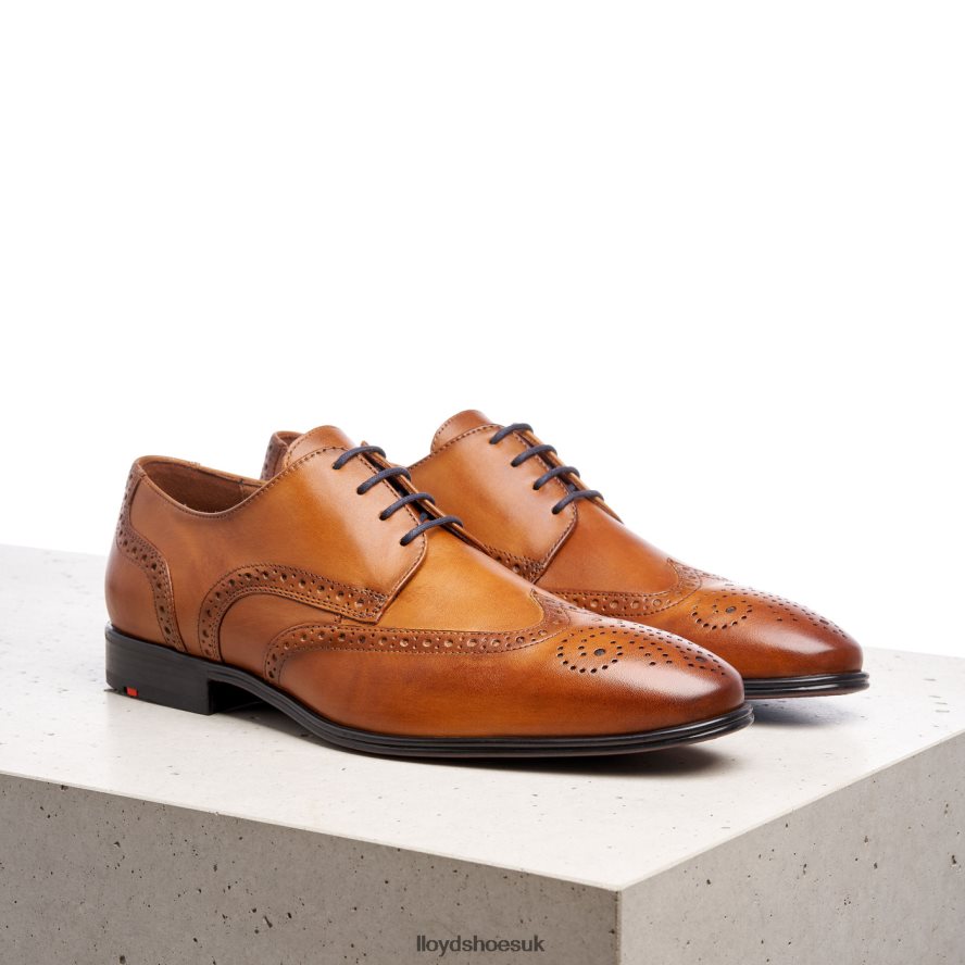 LLOYD Men MORTON H4BXXT1321 Shoes brown