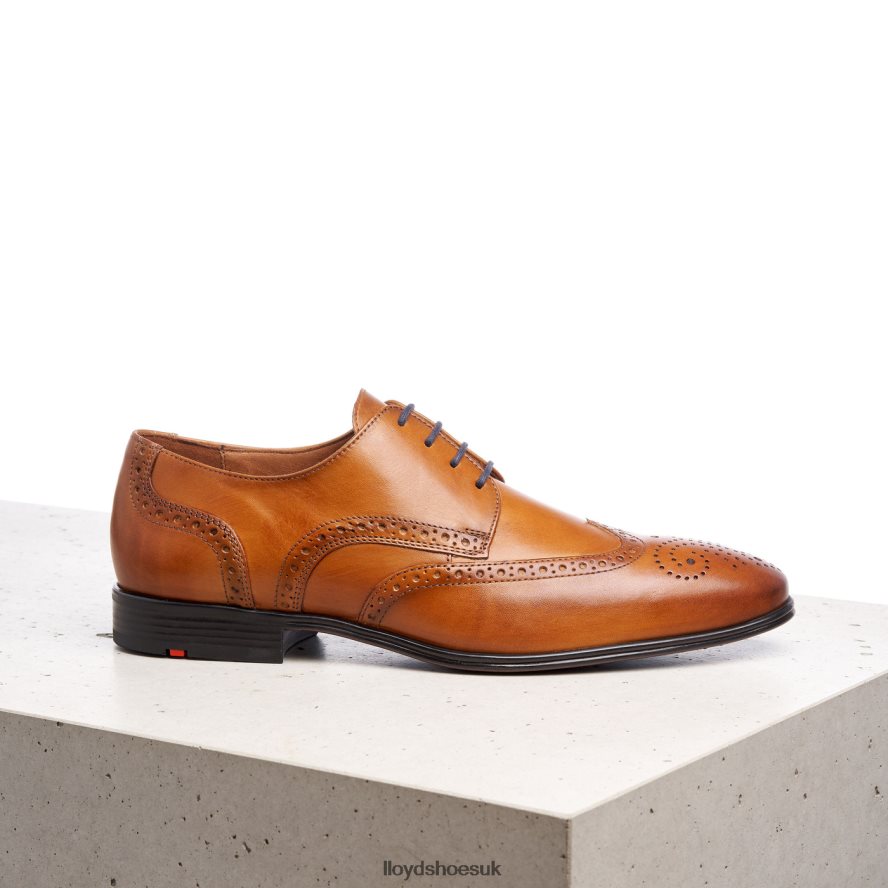 LLOYD Men MORTON H4BXXT1321 Shoes brown