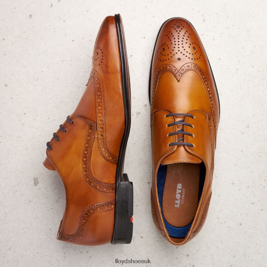 LLOYD Men MORTON H4BXXT1321 Shoes brown