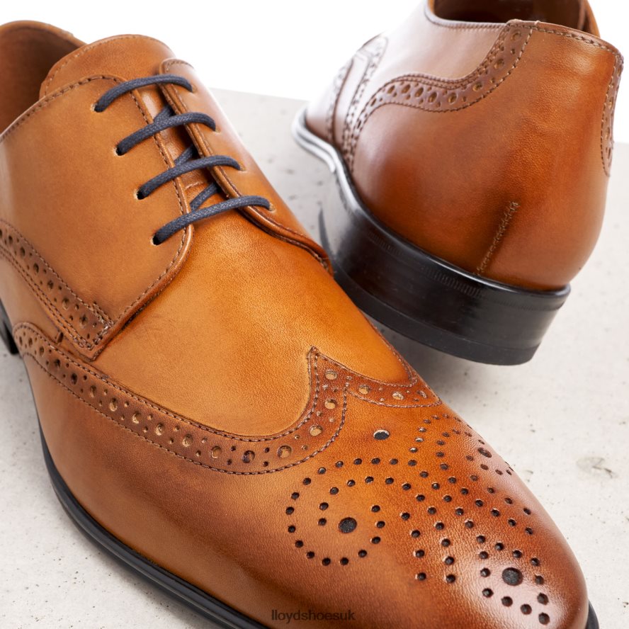 LLOYD Men MORTON H4BXXT1321 Shoes brown