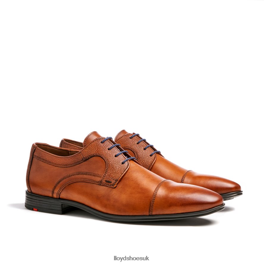 LLOYD Men ORWIN H4BXXT95 Shoes brown