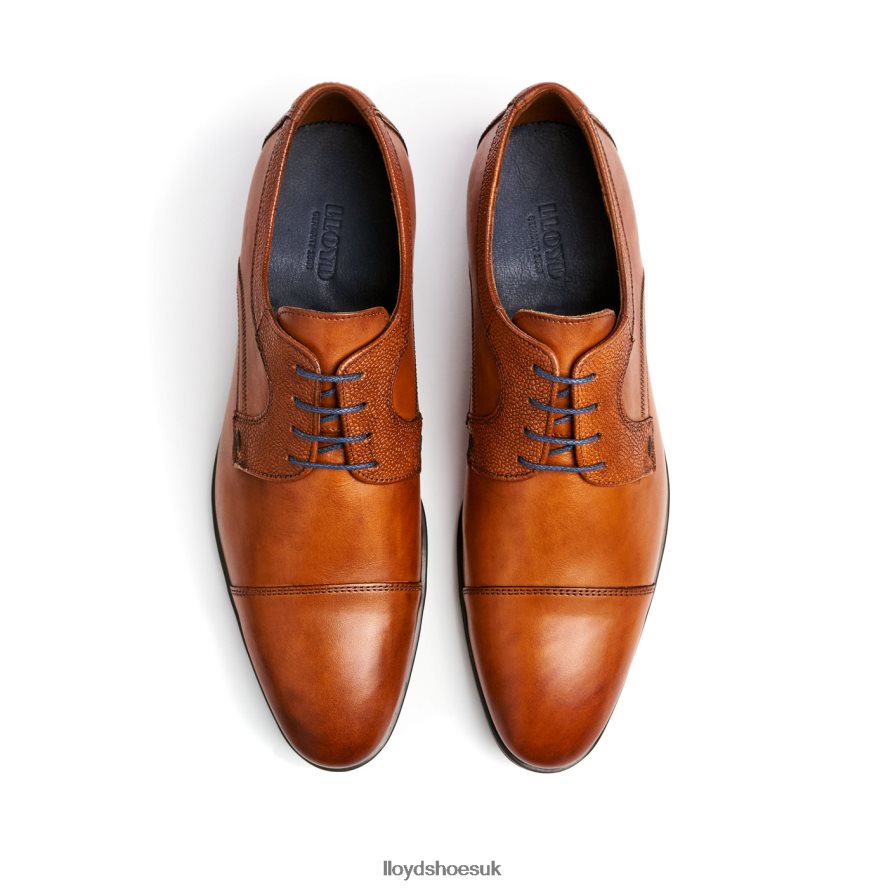 LLOYD Men ORWIN H4BXXT95 Shoes brown