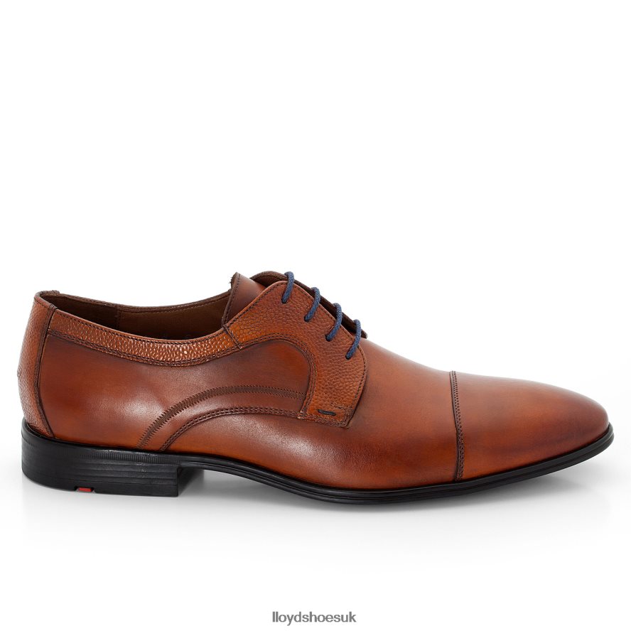 LLOYD Men ORWIN H4BXXT95 Shoes brown