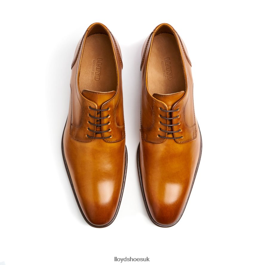 LLOYD Men PADOS H4BXXT152 Shoes brown