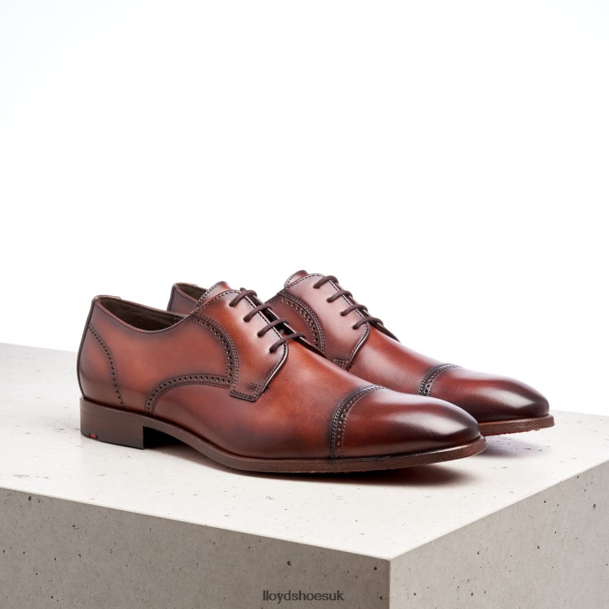 LLOYD Men PERRY H4BXXT177 Shoes brown