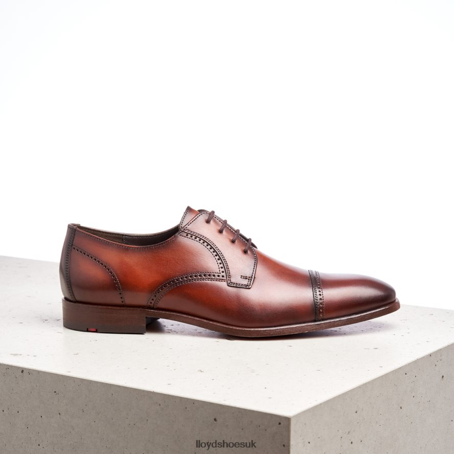LLOYD Men PERRY H4BXXT177 Shoes brown