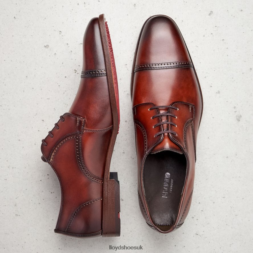 LLOYD Men PERRY H4BXXT177 Shoes brown