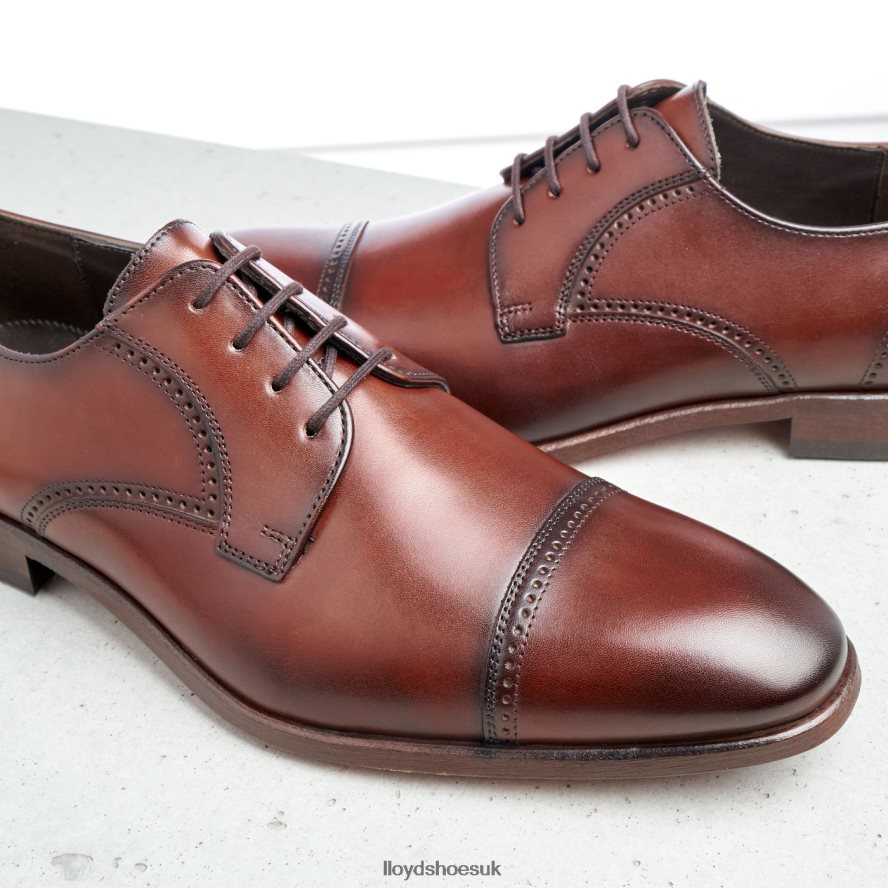 LLOYD Men PERRY H4BXXT177 Shoes brown