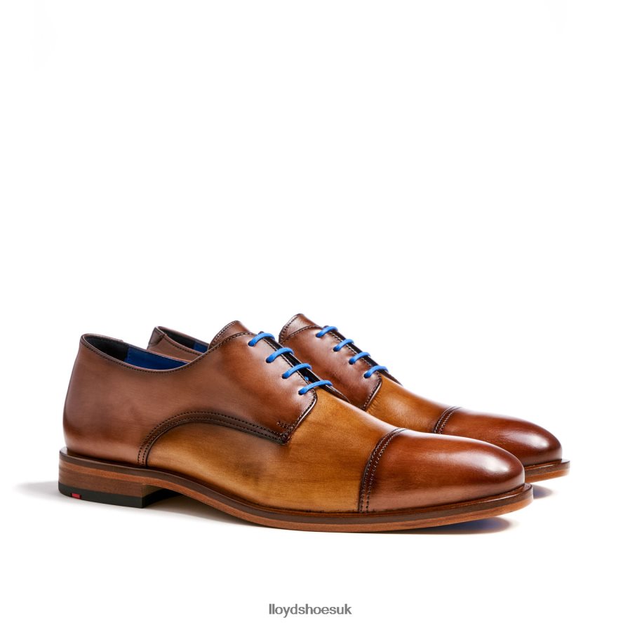 LLOYD Men RICK H4BXXT216 Shoes brown