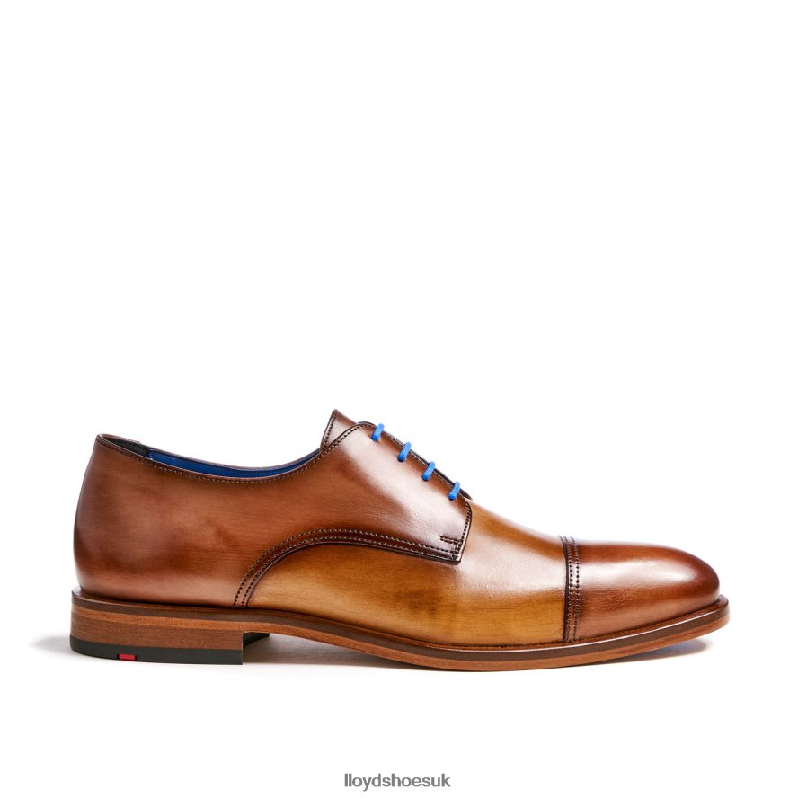 LLOYD Men RICK H4BXXT216 Shoes brown