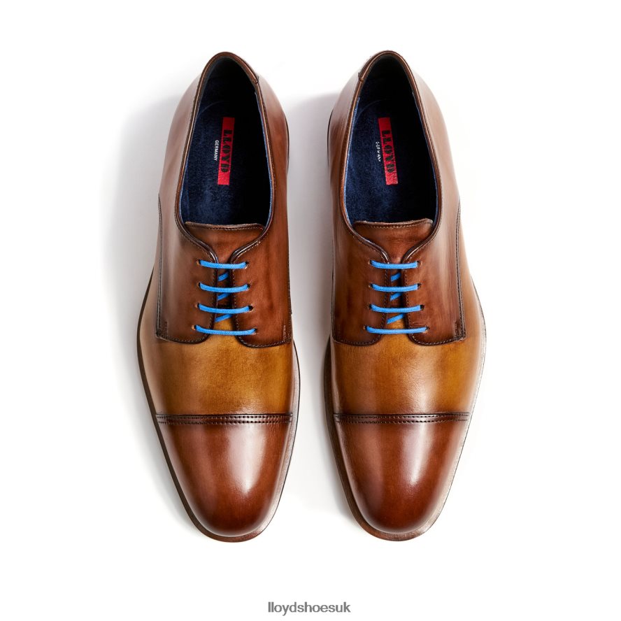 LLOYD Men RICK H4BXXT216 Shoes brown
