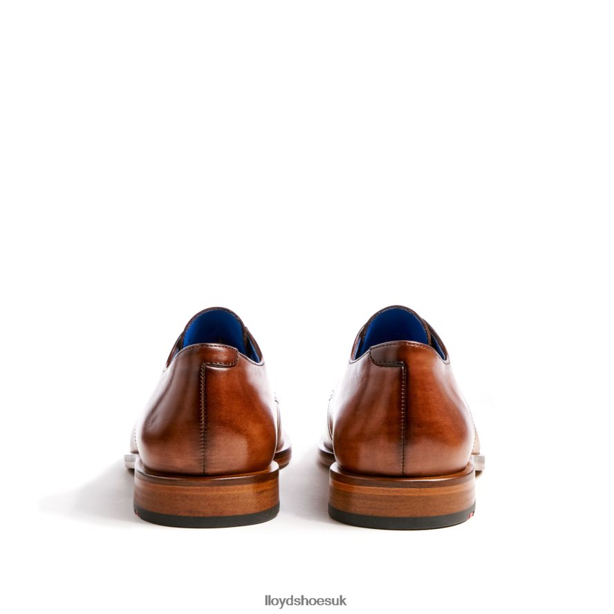 LLOYD Men RICK H4BXXT216 Shoes brown