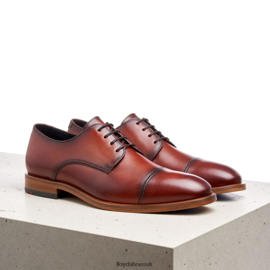 LLOYD Men RODNEY H4BXXT195 Shoes brown