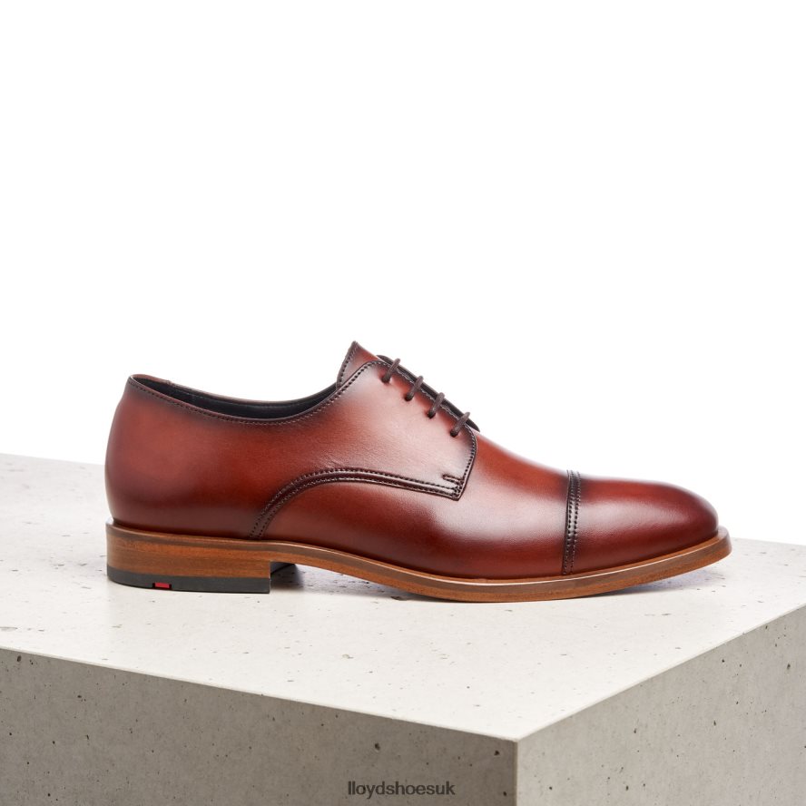 LLOYD Men RODNEY H4BXXT195 Shoes brown