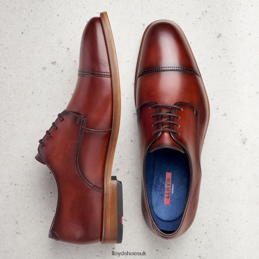 LLOYD Men RODNEY H4BXXT195 Shoes brown