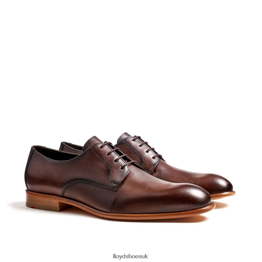 LLOYD Men SAIGON H4BXXT115 Shoes brown