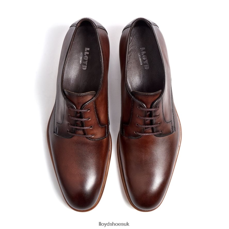 LLOYD Men SAIGON H4BXXT115 Shoes brown
