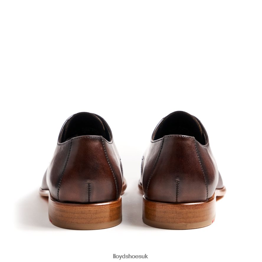 LLOYD Men SAIGON H4BXXT115 Shoes brown