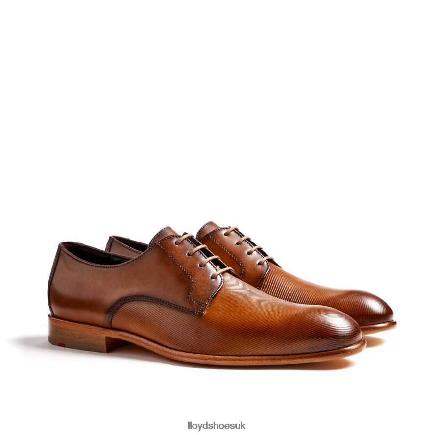 LLOYD Men SAIGON H4BXXT158 Shoes brown