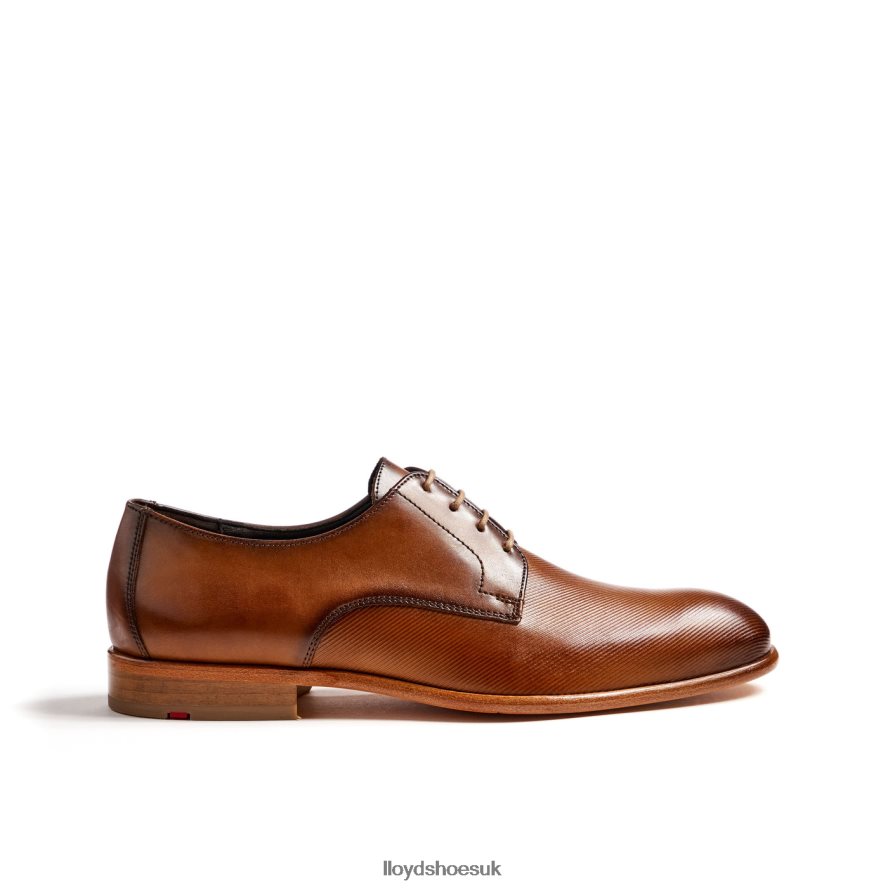 LLOYD Men SAIGON H4BXXT158 Shoes brown
