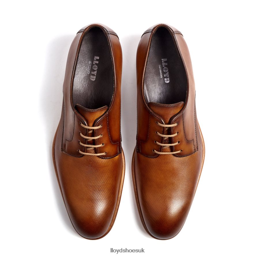 LLOYD Men SAIGON H4BXXT158 Shoes brown