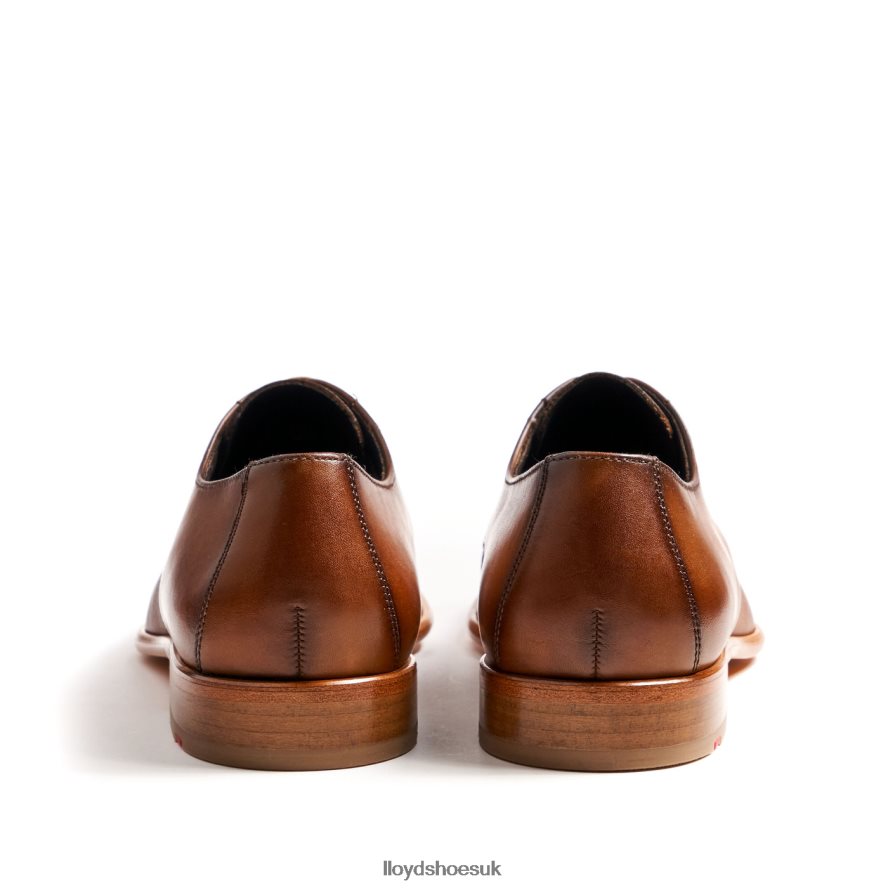 LLOYD Men SAIGON H4BXXT158 Shoes brown