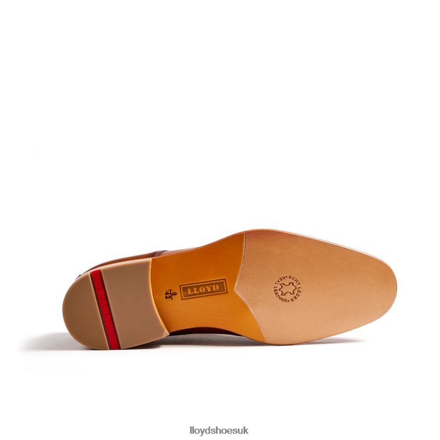 LLOYD Men SAIGON H4BXXT158 Shoes brown