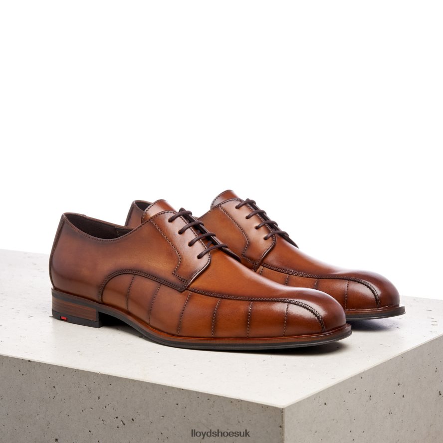 LLOYD Men SALUTE H4BXXT224 Shoes brown