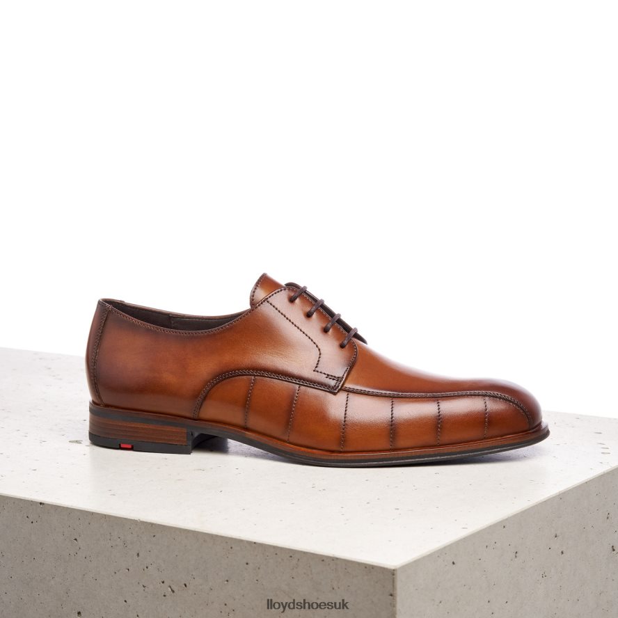LLOYD Men SALUTE H4BXXT224 Shoes brown