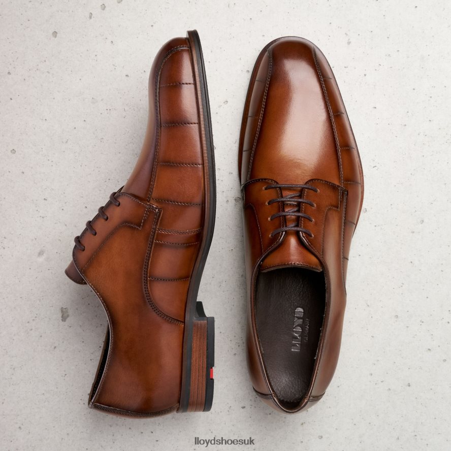 LLOYD Men SALUTE H4BXXT224 Shoes brown