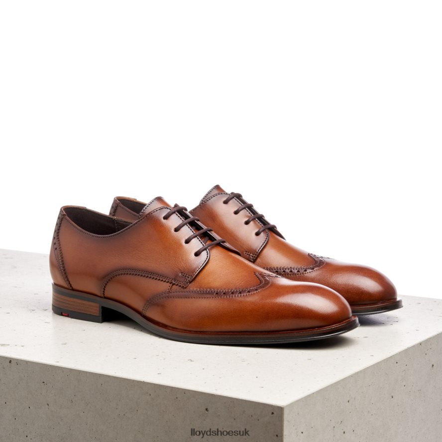 LLOYD Men SAMSON H4BXXT235 Shoes brown