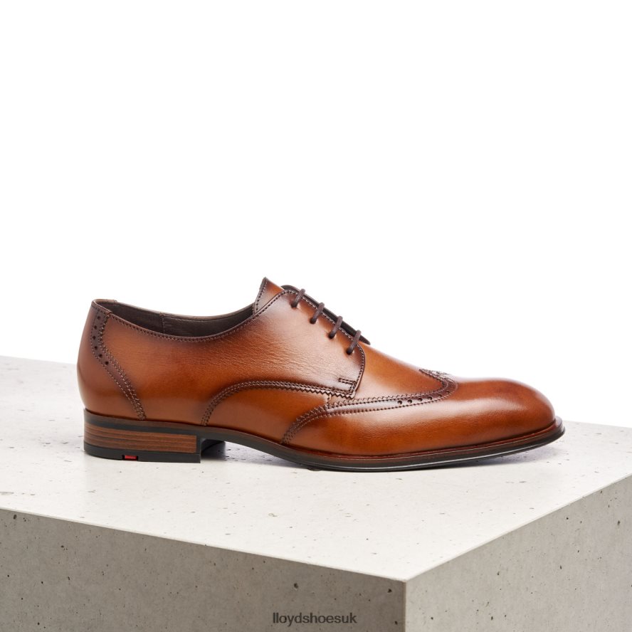 LLOYD Men SAMSON H4BXXT235 Shoes brown