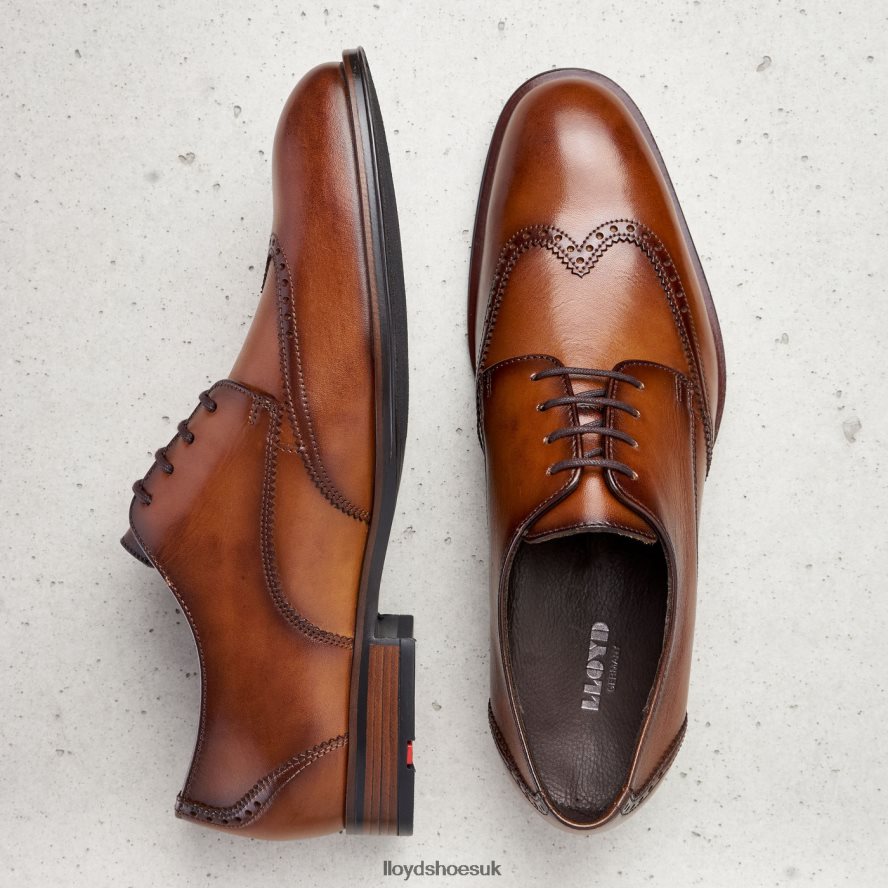 LLOYD Men SAMSON H4BXXT235 Shoes brown