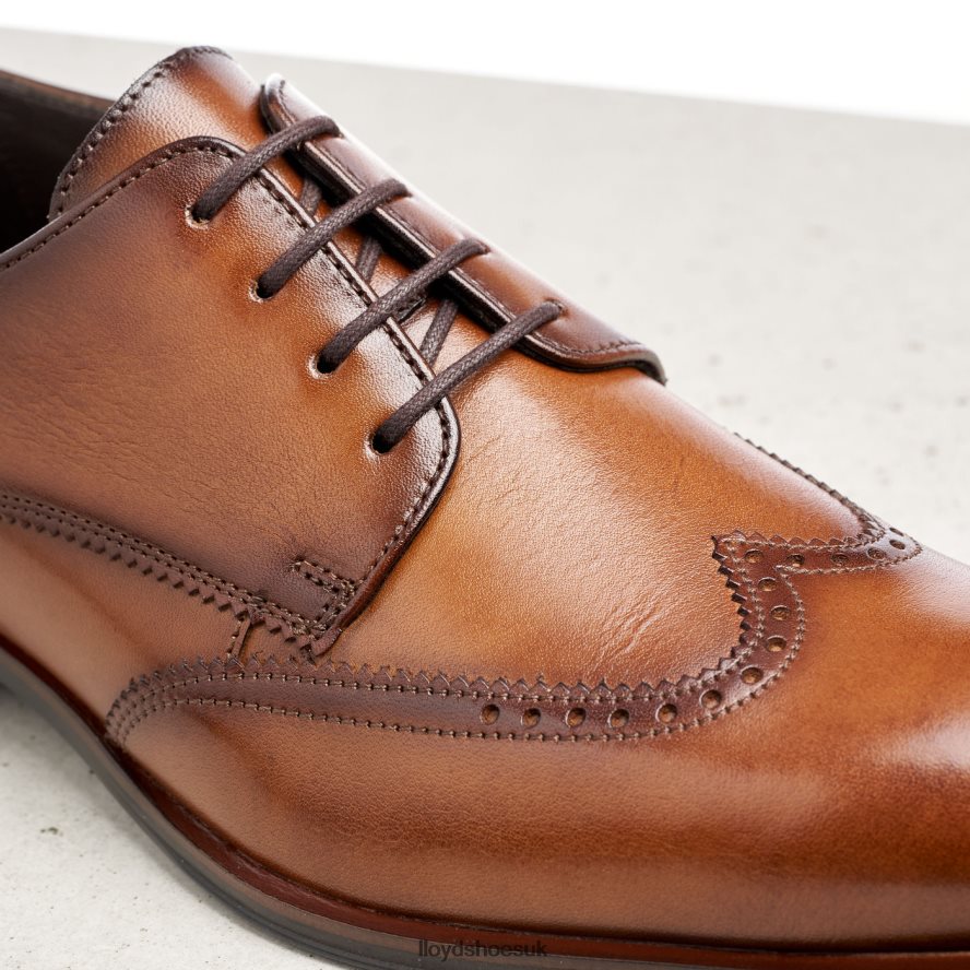 LLOYD Men SAMSON H4BXXT235 Shoes brown
