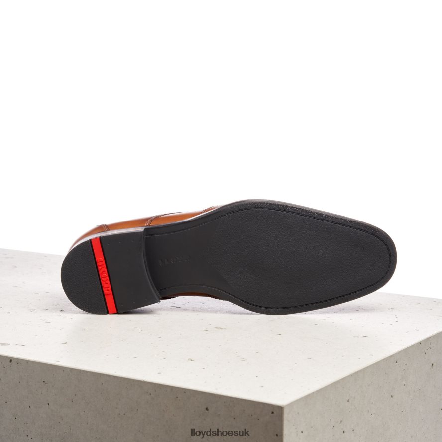LLOYD Men SAMSON H4BXXT235 Shoes brown