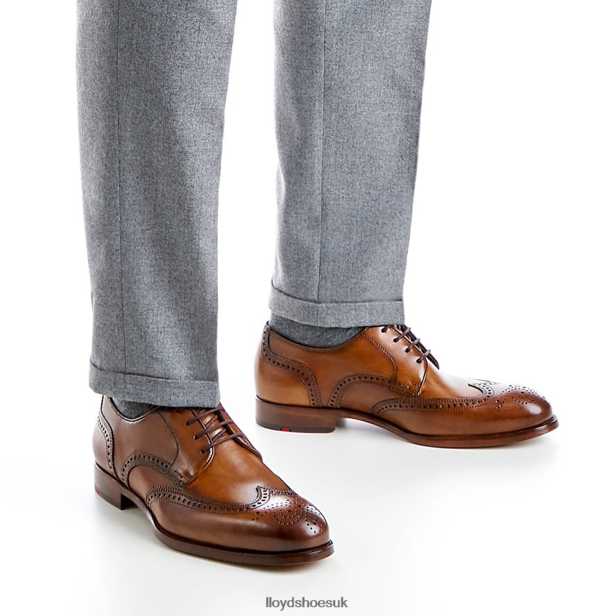 LLOYD Men SHERIDAN H4BXXT205 Shoes brown